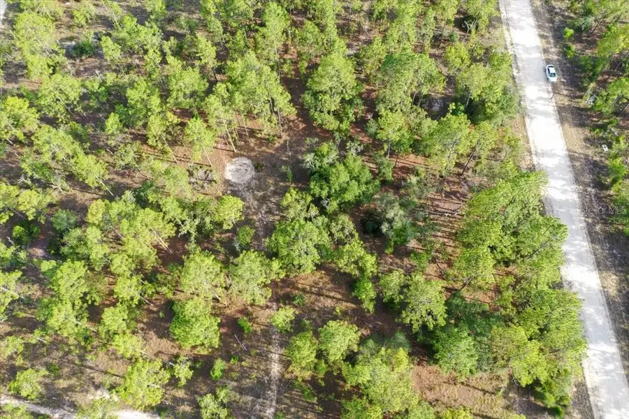 0000 NE 131 Lot 7 Terrace, Williston, FL 32696 - #2