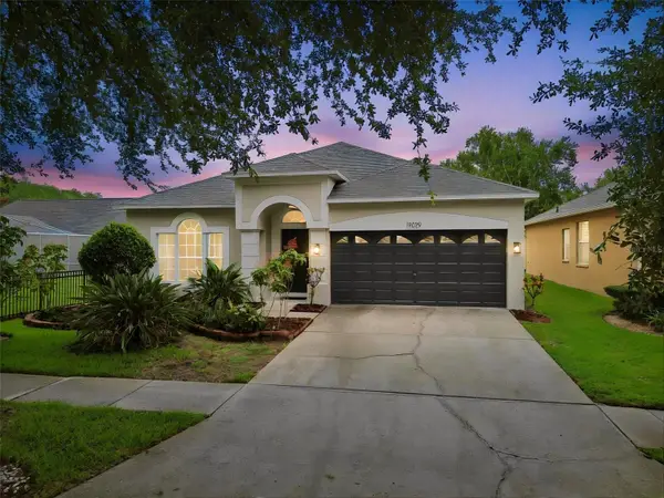 19029 Chemille Drive, LUTZ, FL 33558