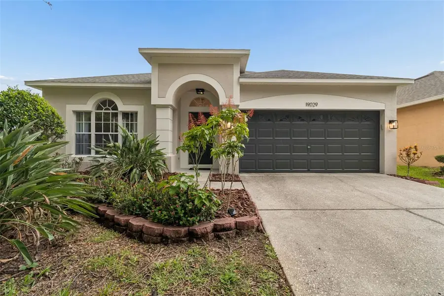 19029 Chemille Drive, Lutz, FL 33558 - #2