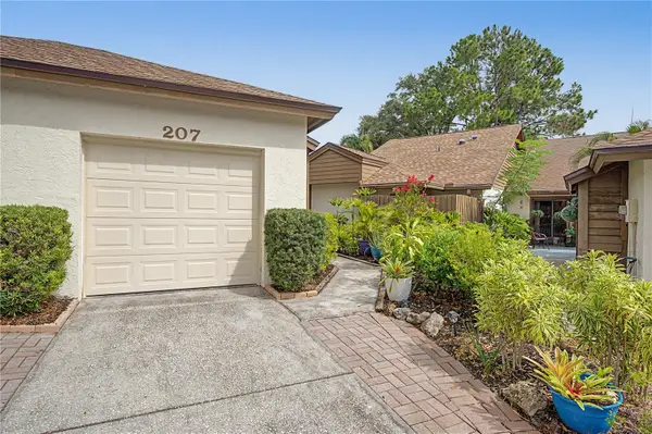 207 Lighthouse Court, SAFETY HARBOR, FL 34695