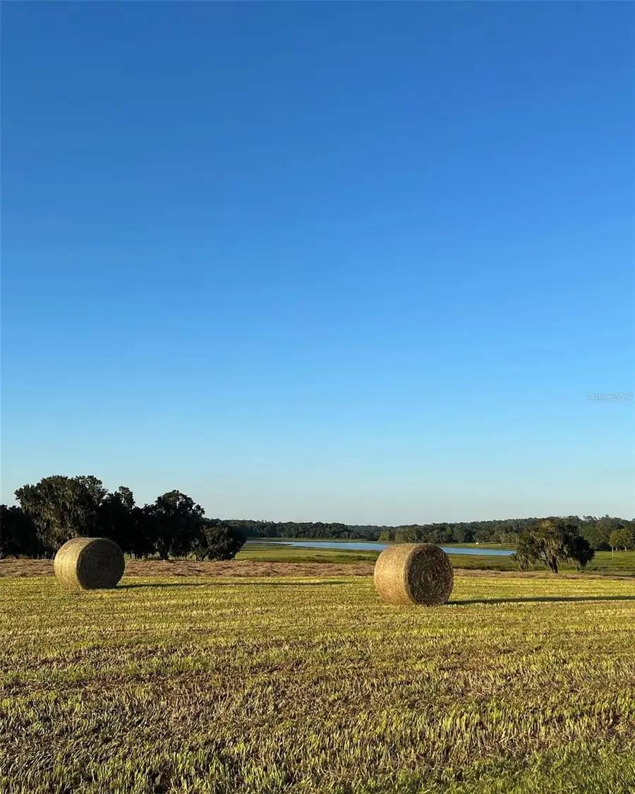Covington Road, Dade City, FL 33525 - #3