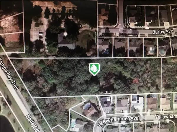 15025 Rails Road, ODESSA, FL 33556