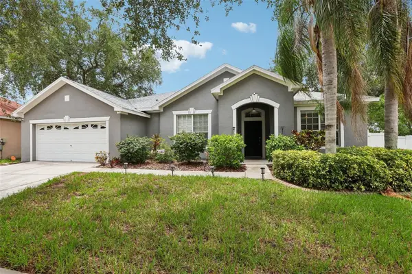 12517 Safari Lane, RIVERVIEW, FL 33569