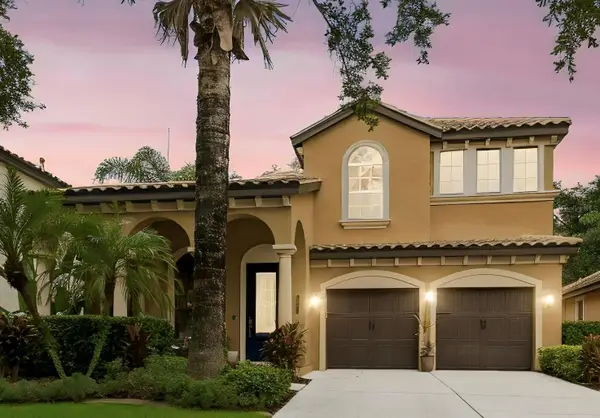 20338 Chestnut Grove Drive, TAMPA, FL 33647