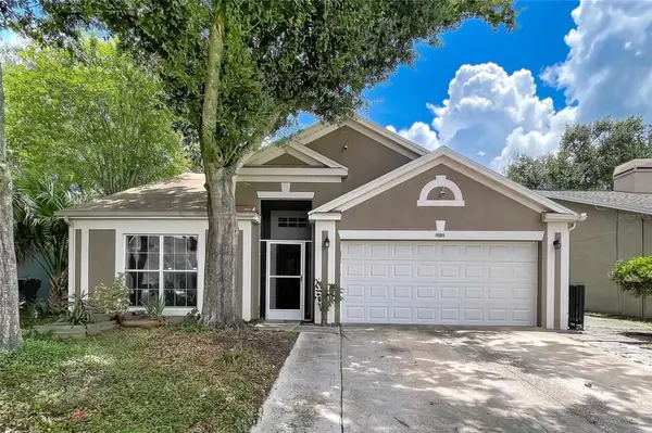 11109 Bramblebrush Street, TAMPA, FL 33624