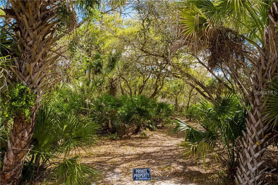 392 Manly Street, Port Charlotte, FL 33953 - #3