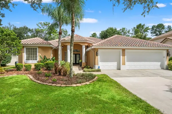 18115 Regents Square Drive, TAMPA, FL 33647