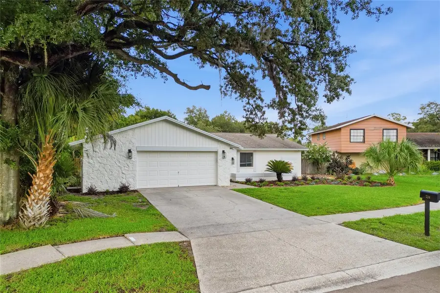 724 Isleton Drive, Brandon, FL 33511 - #3