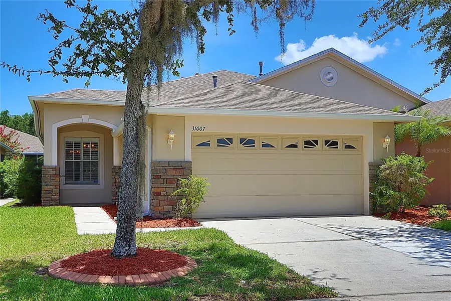 31007 Prout Court, Wesley Chapel, FL 33543 - #3