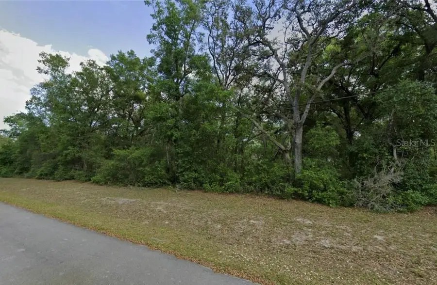 0 SE 59th Place, Ocklawaha, FL 32179 - #2