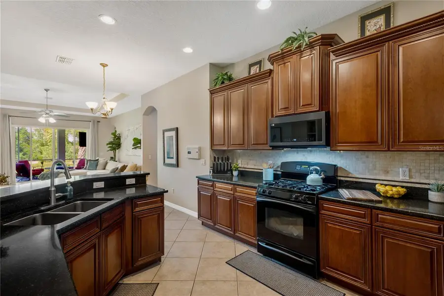 19908 Bluff Oak Boulevard, Tampa, FL 33647 - #3