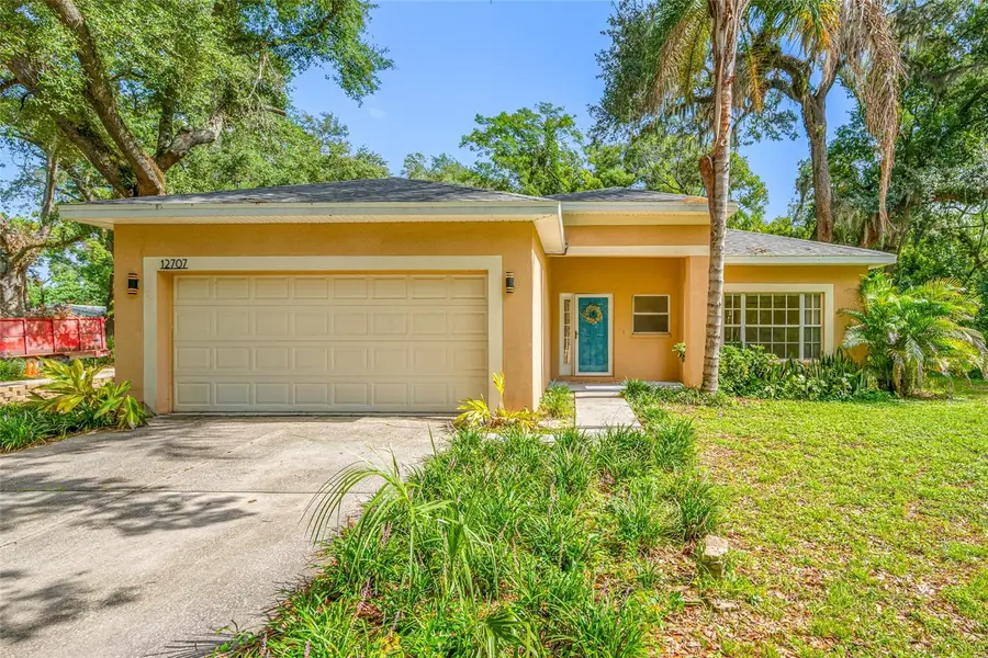 12707 Linda Drive, Tampa, FL 33612 - #3