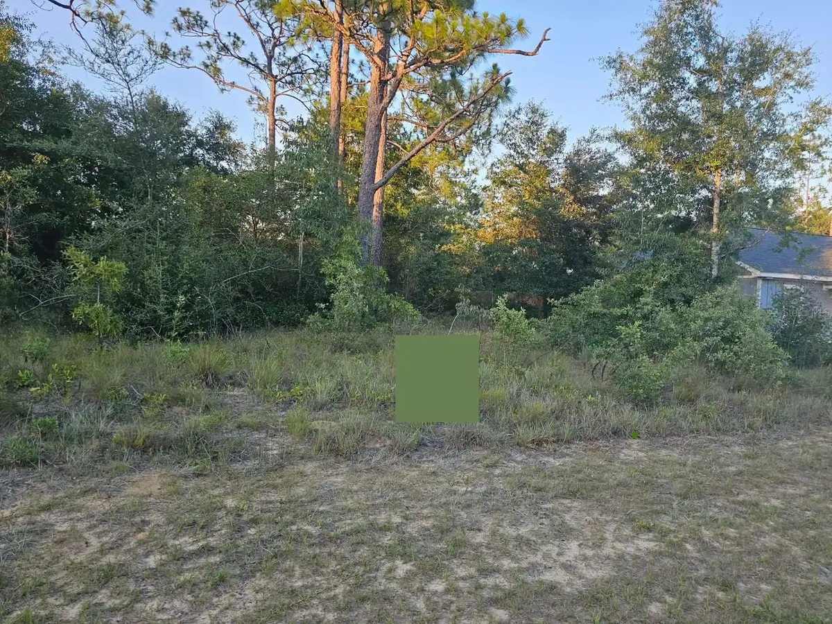 Lot 12 Shenandoah Boulevard, Chipley, FL 32428 - #1