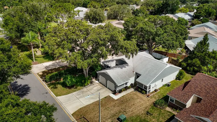 3174 Phlox Drive, Palm Harbor, FL 34684 - #3
