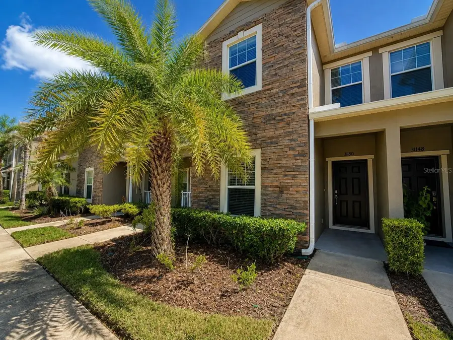 31150 Gossamer Way, Wesley Chapel, FL 33543 - #2