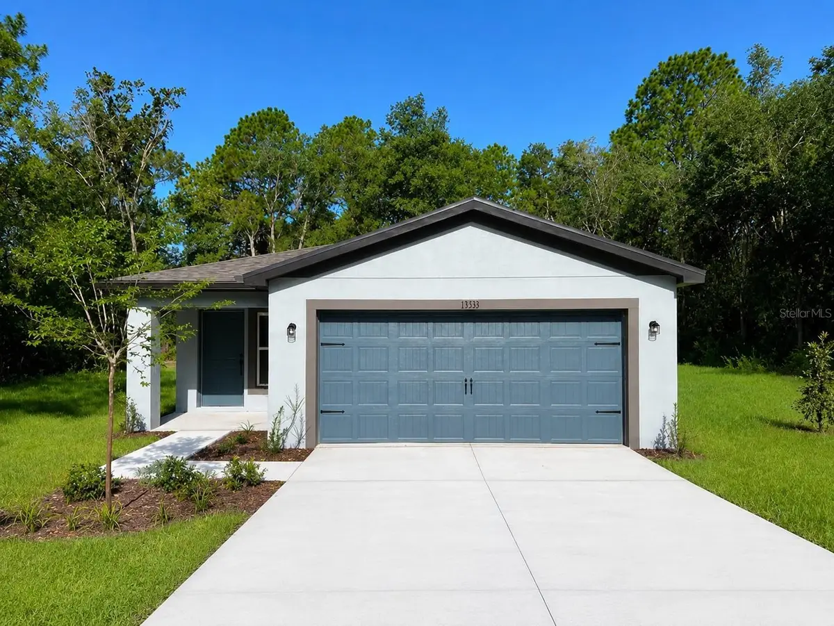 13331 Canada Goose Road, Weeki Wachee, FL 34614 - #1