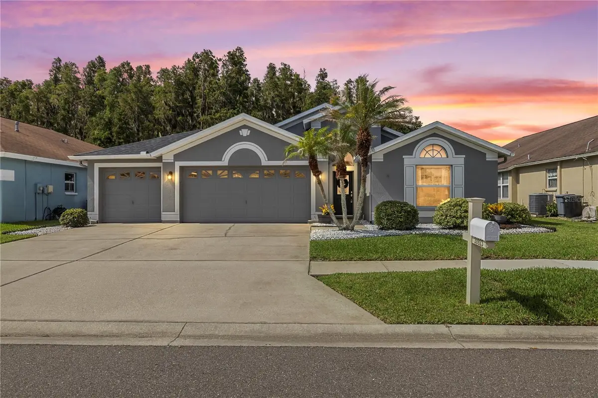 30923 Iverson Drive, Wesley Chapel, FL 33543 - #1