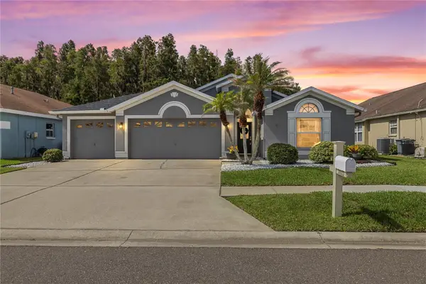 30923 Iverson Drive, WESLEY CHAPEL, FL 33543