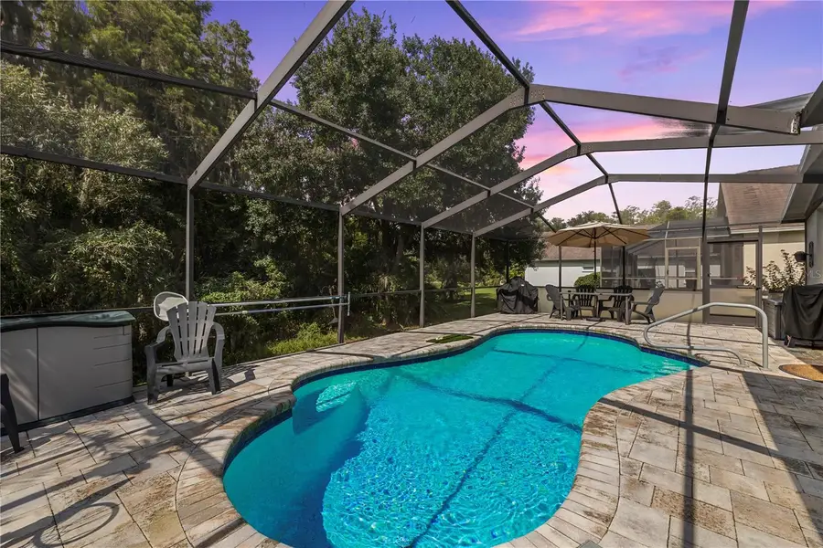 30923 Iverson Drive, Wesley Chapel, FL 33543 - #2