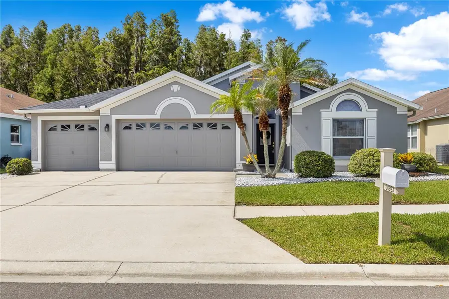 30923 Iverson Drive, Wesley Chapel, FL 33543 - #3