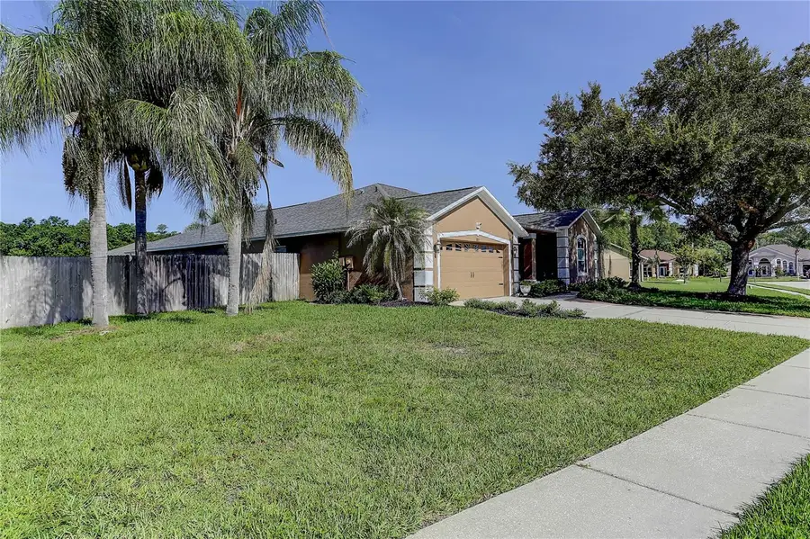3815 Red Bluff Ct, Land O Lakes, FL 34639 - #3
