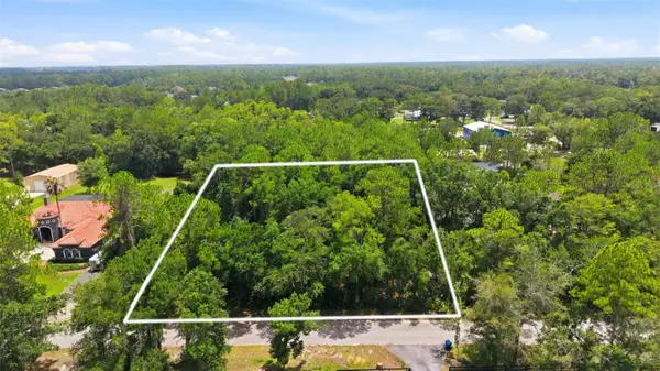 Raven Brook Road, WESLEY CHAPEL, FL 33544