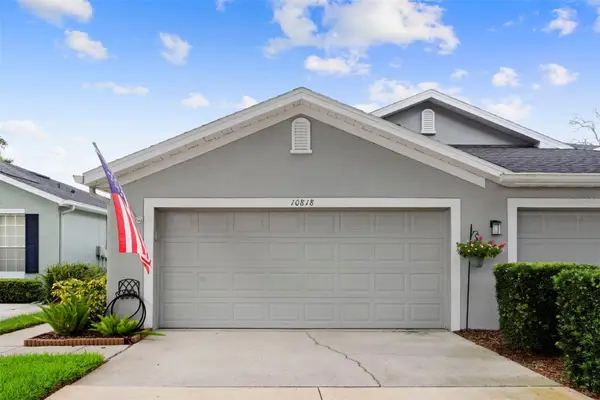 10818 Ashford Oaks Drive, TAMPA, FL 33625