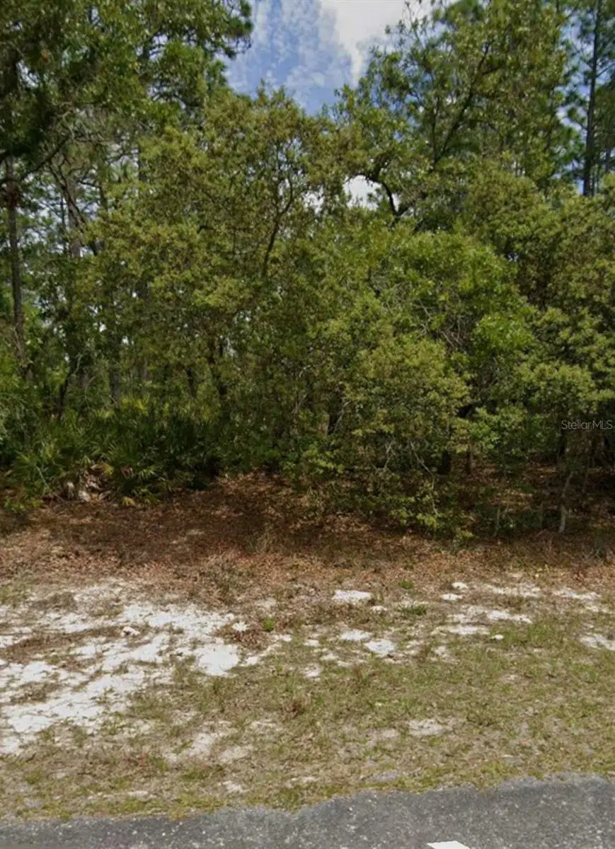 5732 N Summerfield Point, Dunnellon, FL 34434 - #1