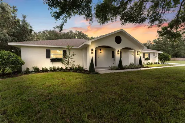 10204 Tranquil Lane, ODESSA, FL 33556