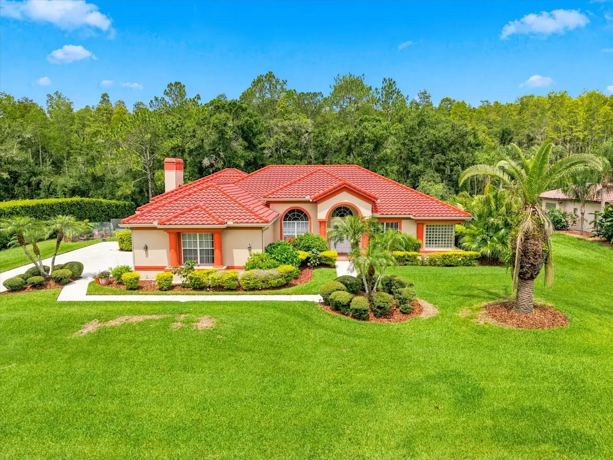18621 Avenue Capri, Lutz, FL 33558 - #1