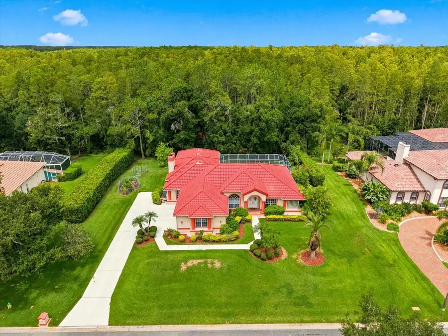 18621 Avenue Capri, Lutz, FL 33558 - #2