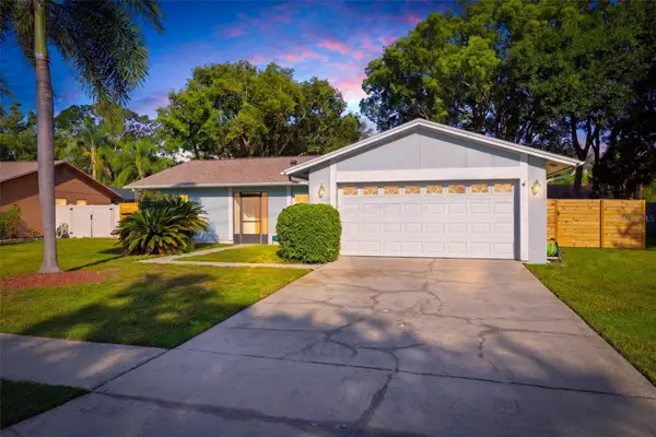 15906 Crying Wind Drive, TAMPA, FL 33624