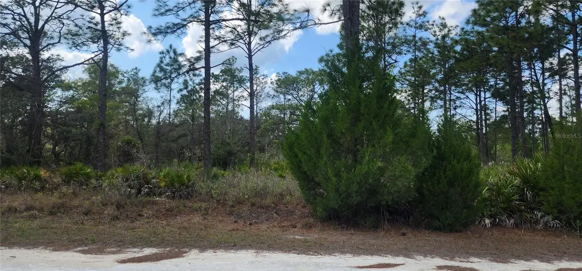 18119 Parrot Road, Weeki Wachee, FL 34614 - #1