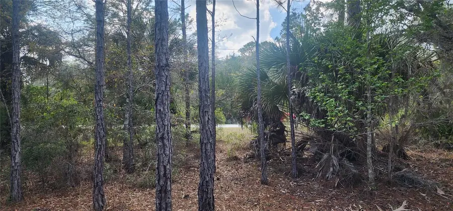 18164 Retriever Road, Weeki Wachee, FL 34614 - #2