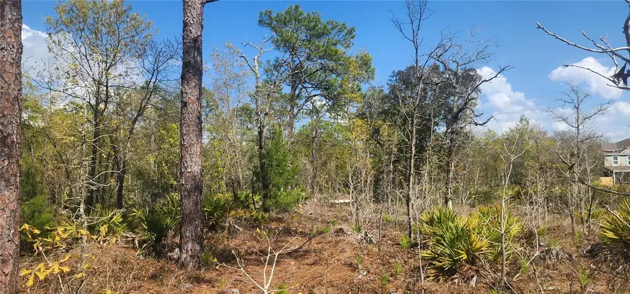 18043 Ramsey Road, Weeki Wachee, FL 34614 - #2