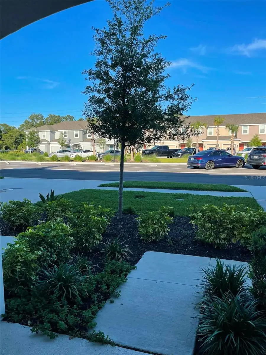 2516 Paravane Way, Wesley Chapel, FL 33543 - #3