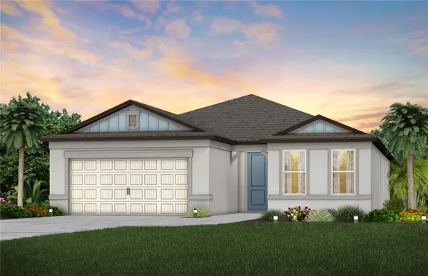 9875 Hickory Pines Avenue, RIVERVIEW, FL 33578