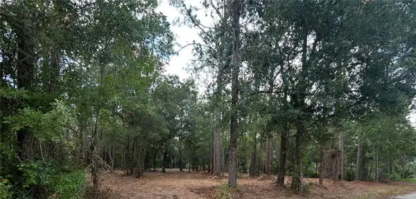 Westpoint Drive, WESLEY CHAPEL, FL 33544