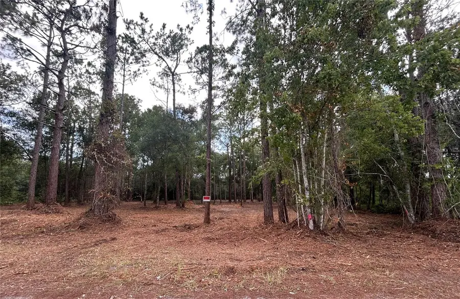 Westpoint Drive, Wesley Chapel, FL 33544 - #3
