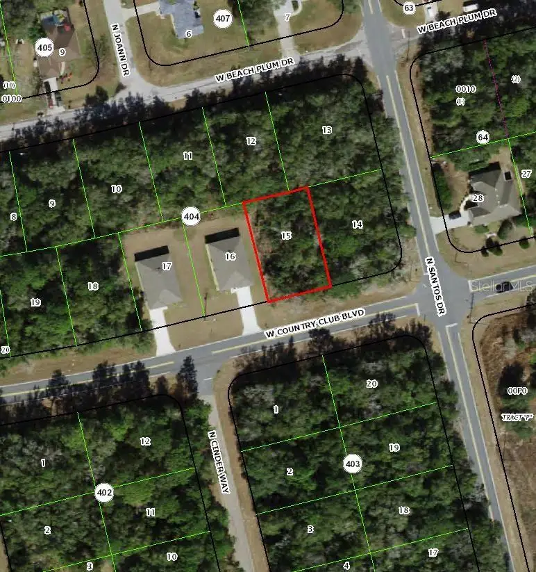 1707 W Country Club Boulevard, Citrus Springs, FL 34434 - #3