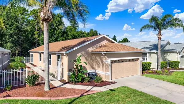 21054 Diamonte Dr, LAND O LAKES, FL 34637