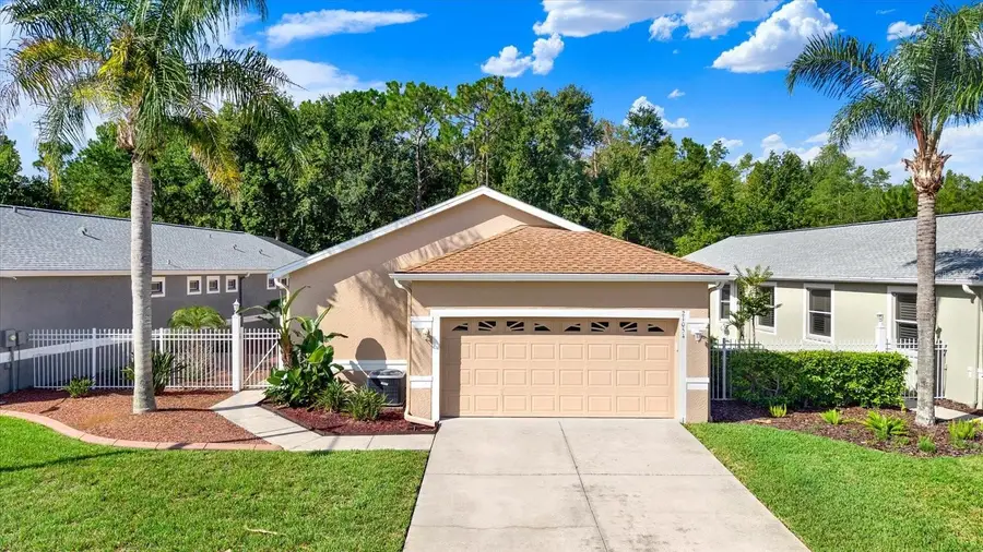 21054 Diamonte Dr, Land O Lakes, FL 34637 - #2