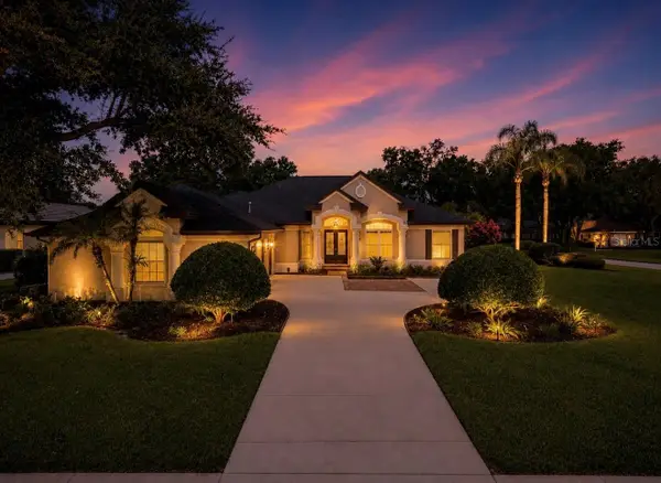 6105 Audubon Manor Boulevard, LITHIA, FL 33547