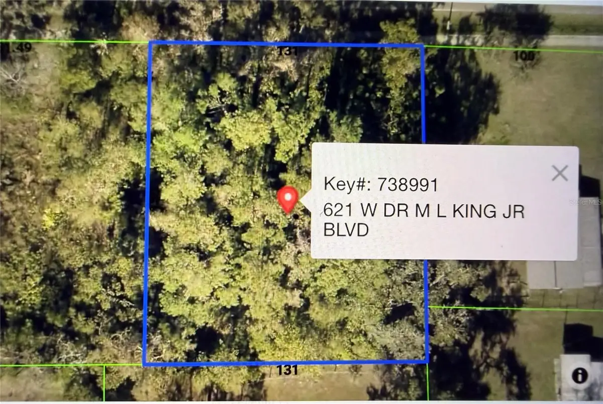 621 W Dr M L King Jr Boulevard, Brooksville, FL 34601 - #1