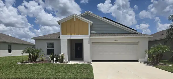 12730 Mangrove Forest Drive, RIVERVIEW, FL 33579