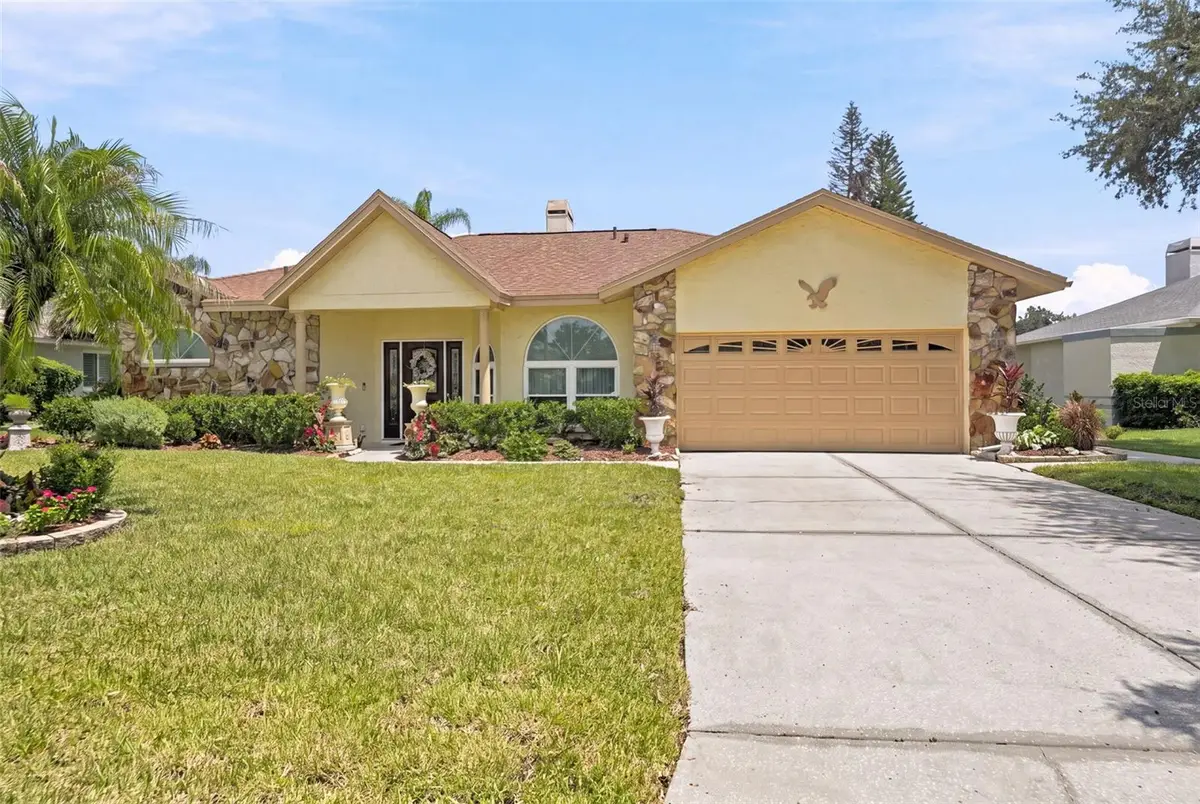 23427 Pine Lake Street, Land O Lakes, FL 34639 - #1