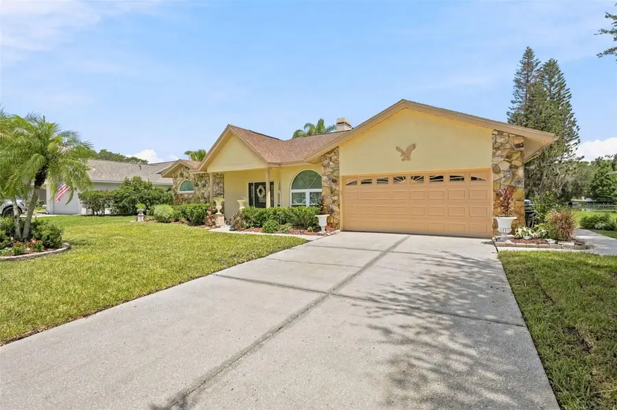 23427 Pine Lake Street, Land O Lakes, FL 34639 - #3