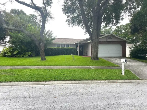 1170 Wexford Drive, PALM HARBOR, FL 34683
