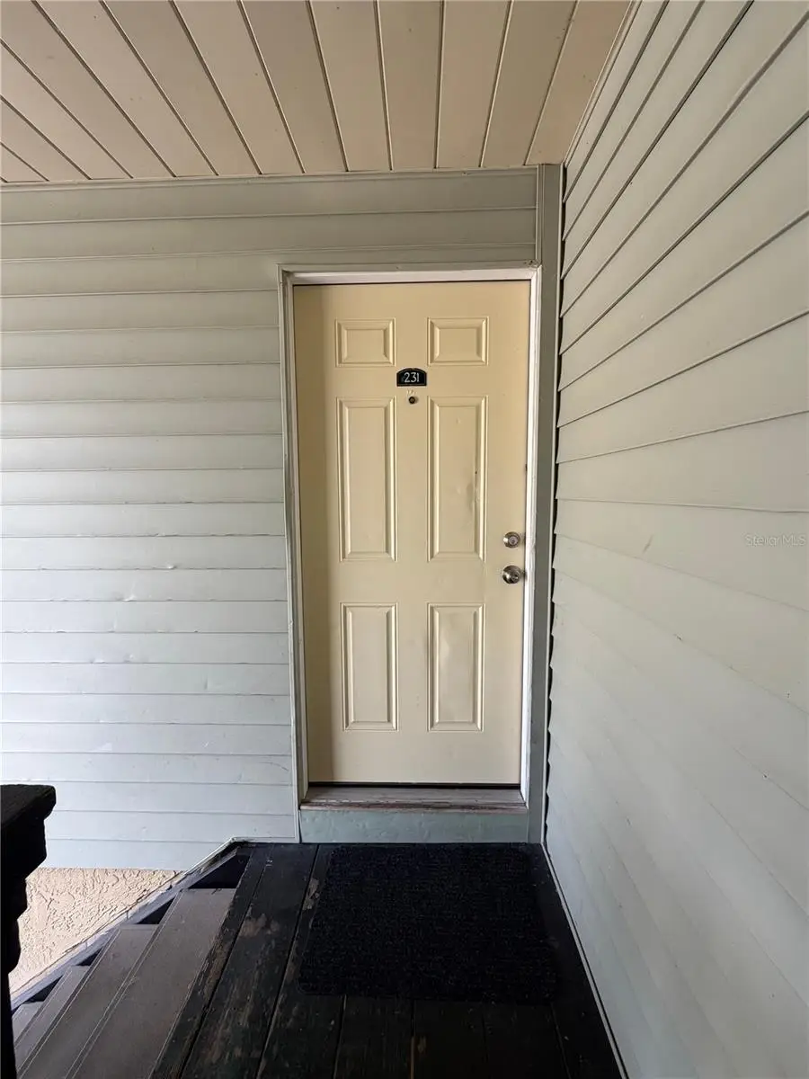 231 Berry Tree Place, Brandon, FL 33510 - #3