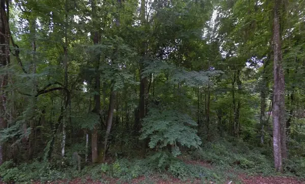 SE 42nd Court, BELLEVIEW, FL 34420